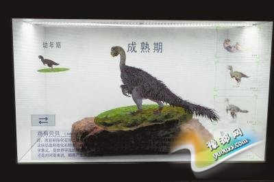 Ͽʯʧ(gu)18ؼ 纱Ҋ