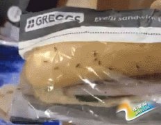 ŮIγԳһȺnω 귽QʳƷȫ