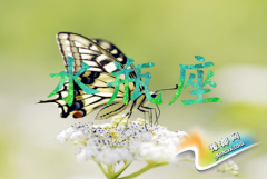 ˮƿŮʲô׃Ů