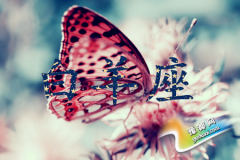 Ů(hu)?yn)ʲô׃Ů?qing)