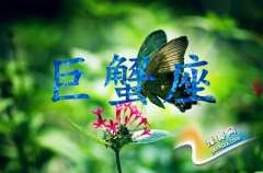 зЌ(du)(i)xʽ