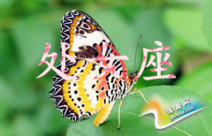 ̎ŮЌ(du)(i)xʽ