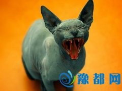 ʲôסؔ(ci)Դ