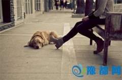 ̎^cL(fng)