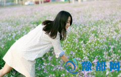 ʿ20161(qing)\(yn)(sh)