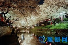 挦(du)ؓ(f)Ыķ(yng)