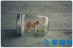 fʹ֮ǰՈ(qng)J(rn)x