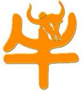 ţ