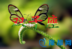 RӰpֵ