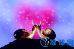 Ѫ;Đ֮˸