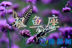 RӰp~ֵ