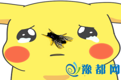 y(c)ď(qing)ȰYѵʲô̶