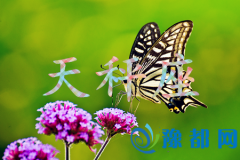 (dng)