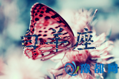 挍(sh)Ը