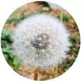 ЮI(y)YУL(zhng)vļҏ(qing)L(zhng)ɳƪУL(zhng)vԒ(li)c(din)ٝ