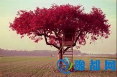 ǇƽÔ(sh)W(xu)ʽf(sh)W(xu)
