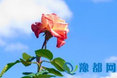 Ո(qng)úÌ(du)@ЩФ