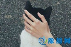 ͸^(gu)龀