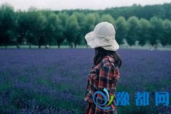 YAO20173Ы\(yn)(sh)