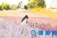 YAO20174Ħ\(yn)(sh)