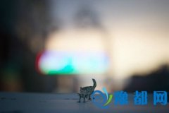 A΢ӛ20174Ħ\(yn)