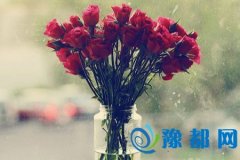ʿ20171Ф\(yn)