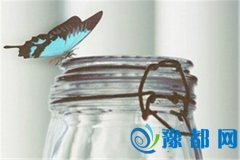 ȫت{Ŀ