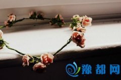 2017Ф\(yn)(sh)