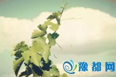 p犐(i)֙C(j)D