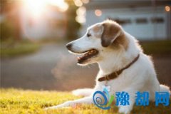 犐۵֙C(j)D