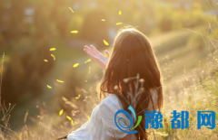 20168̎Ů\(yn)
