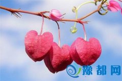 зӑһ˵ķʽ