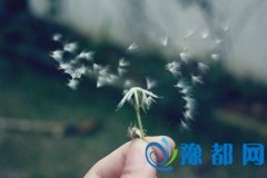 Kɺ20177\(yn)(sh)
