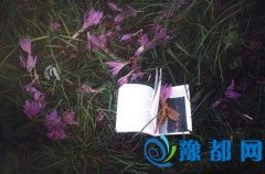 зįrıF(xin)
