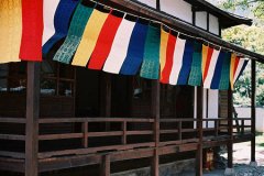 YAO20179̎Ů\(yn)