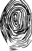 ָyа̵\(yn)ݲÆ