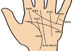 ࿴(xin)ʲô
