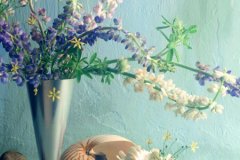 _(zhn)ώ201611ʮФ\(yn)